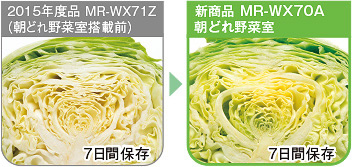 従来品との比較