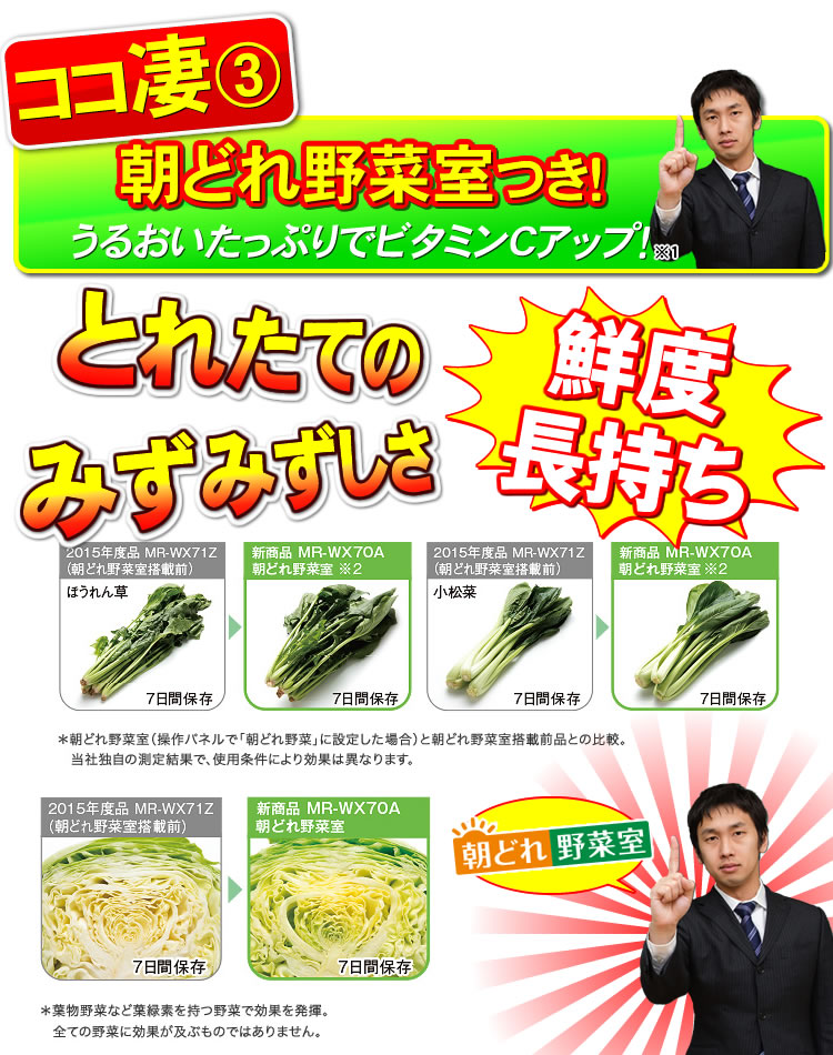 朝どれ野菜室付き　とれたてのみずみずしさ、鮮度長持ち